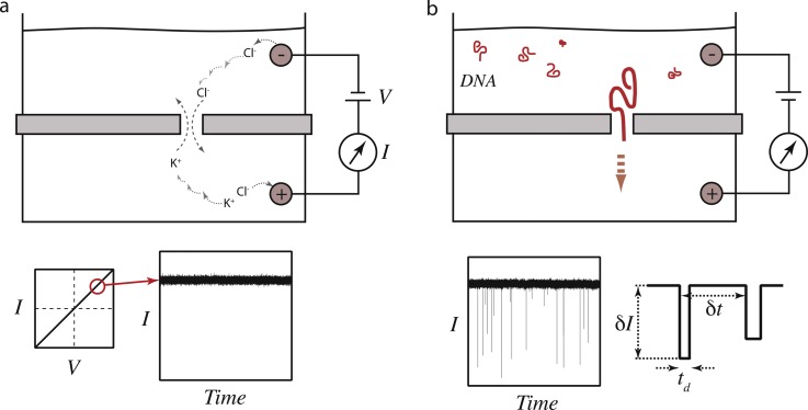 FIG. 13.