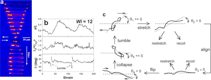 FIG. 4.