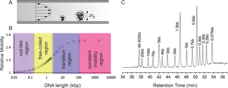 FIG. 11.