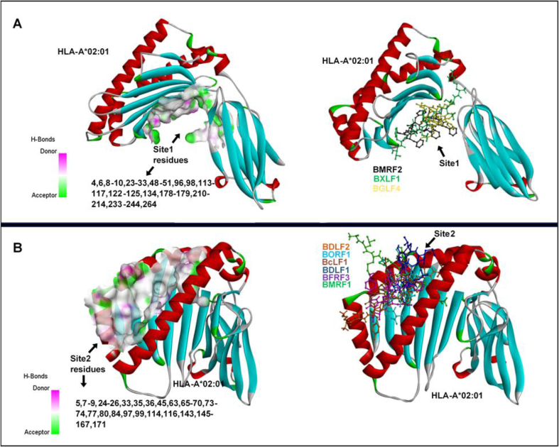 Fig. 6