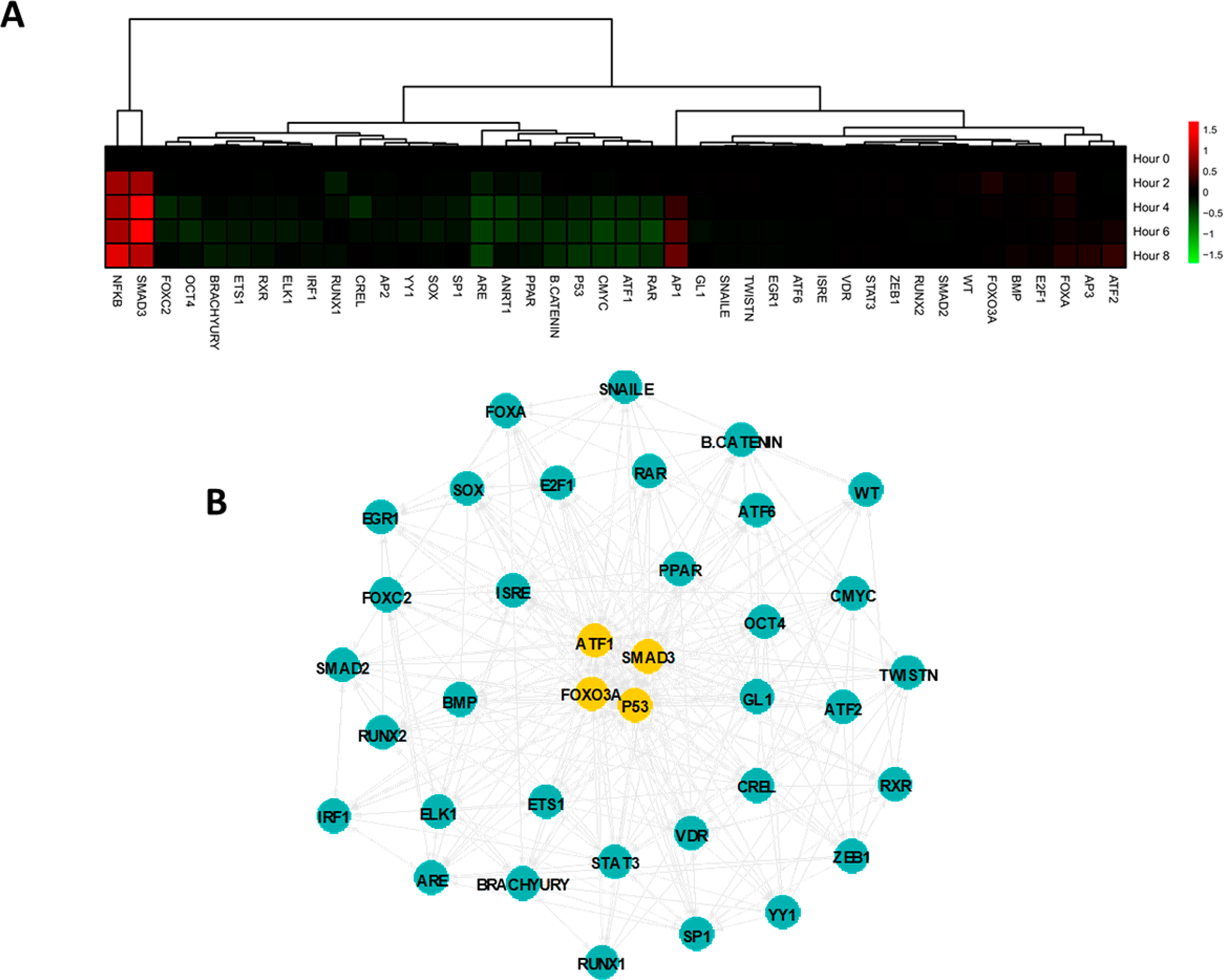 Figure 5.