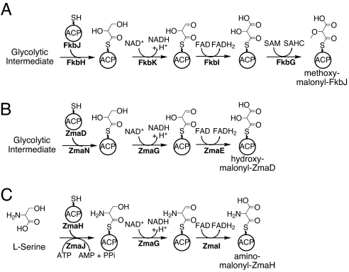 Fig. 2.