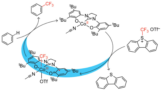 graphic file with name cs3c03832_0014.jpg