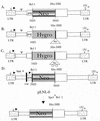 FIG. 1