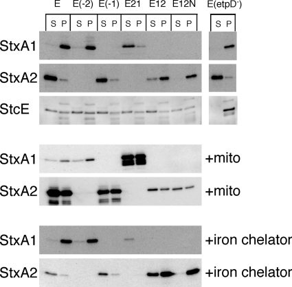 FIG. 7.