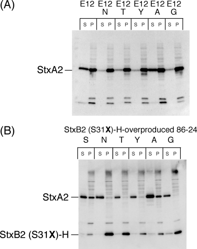 FIG. 8.