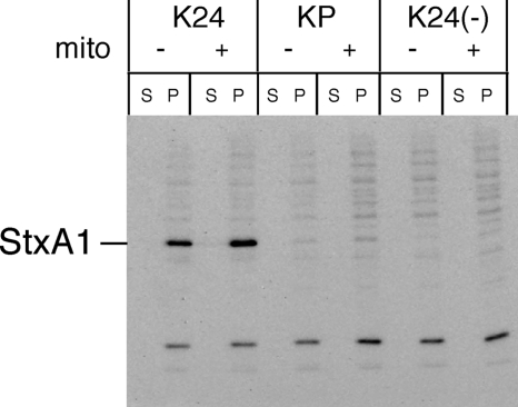 FIG. 4.