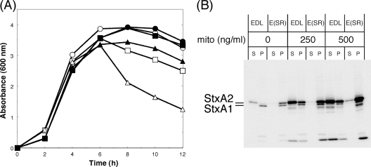 FIG. 5.