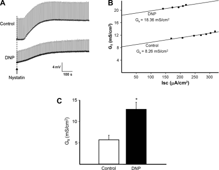 Fig. 6.