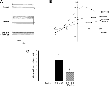 Fig. 4.