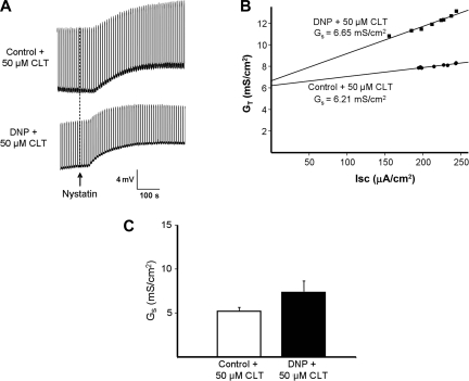 Fig. 7.