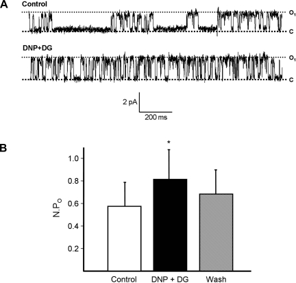 Fig. 1.