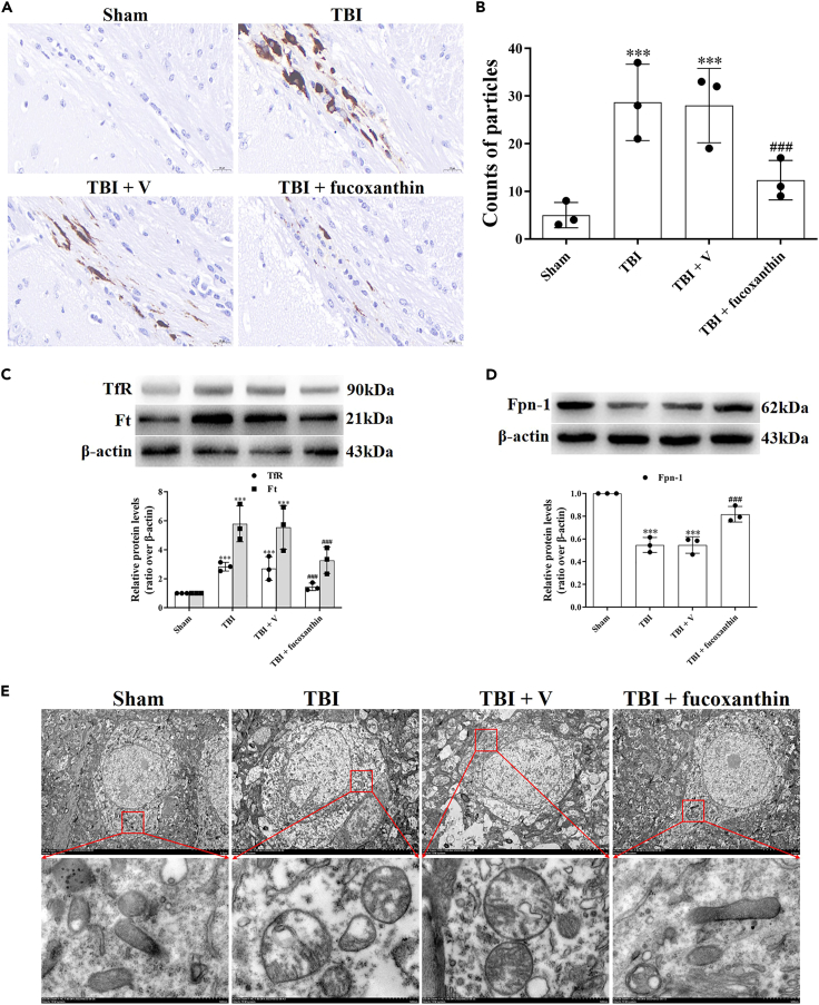 Figure 4