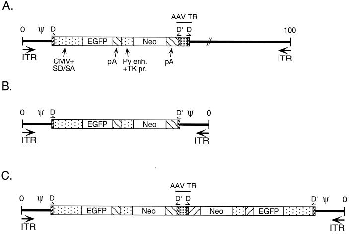 FIG. 1