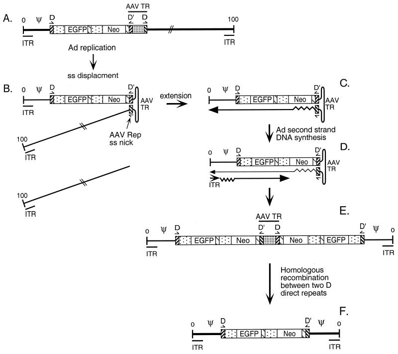 FIG. 7