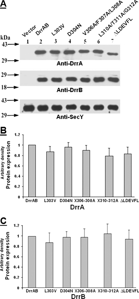 FIGURE 5.