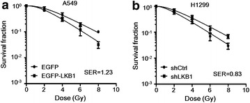 Fig. 6