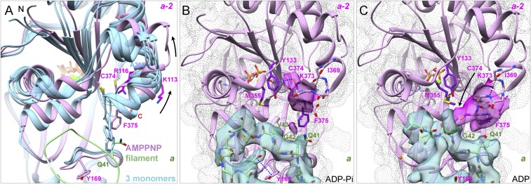 Fig. 6.