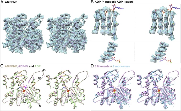 Fig. 2.