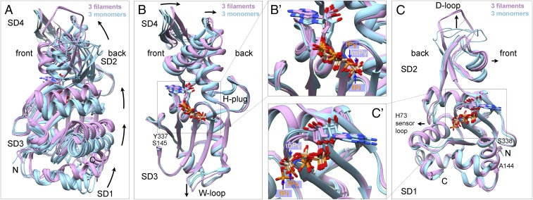 Fig. 3.