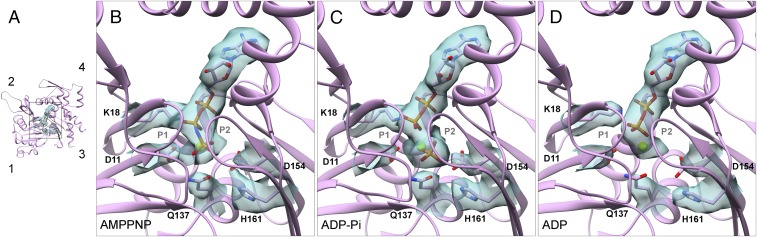 Fig. 7.