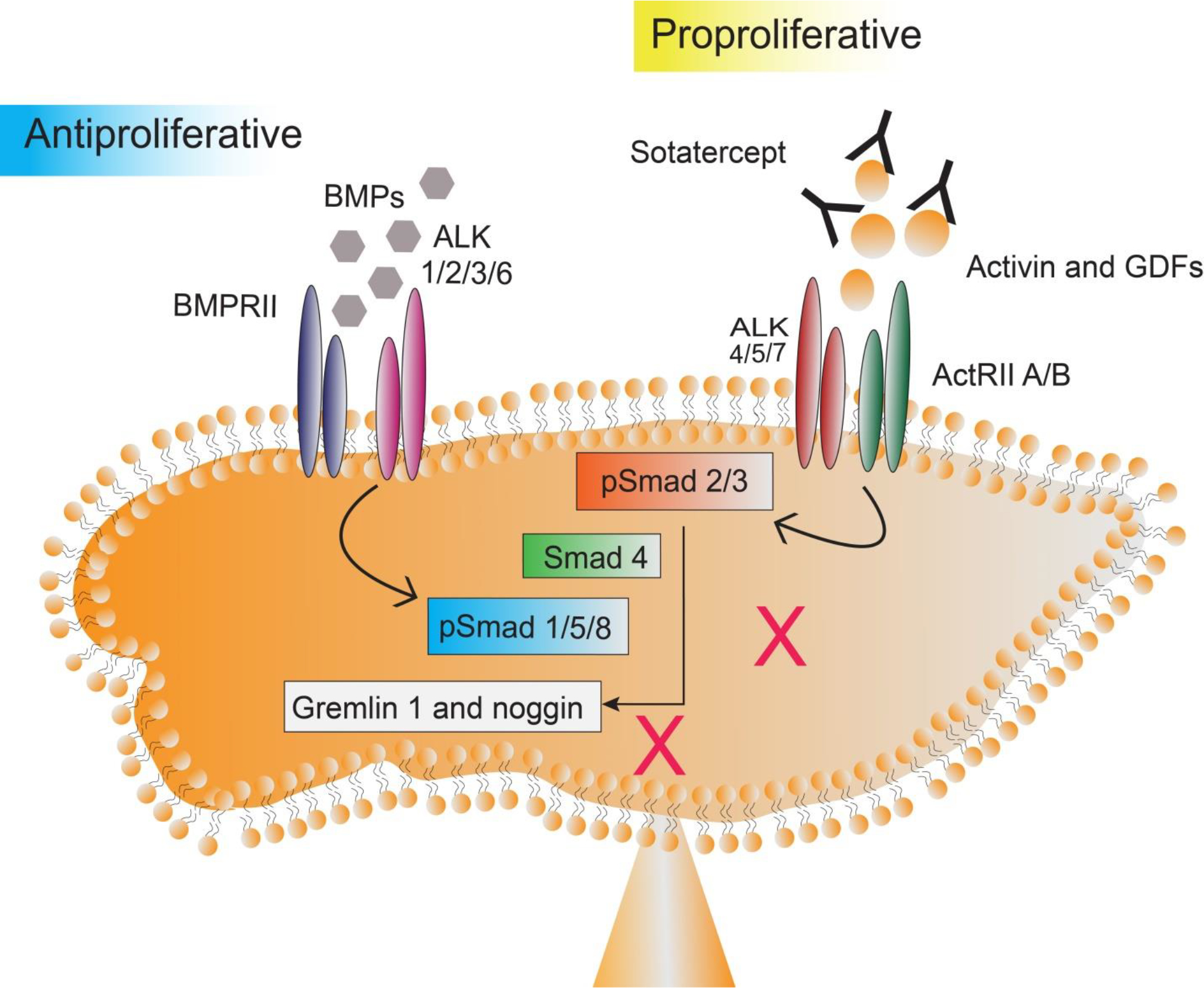 Figure 4: