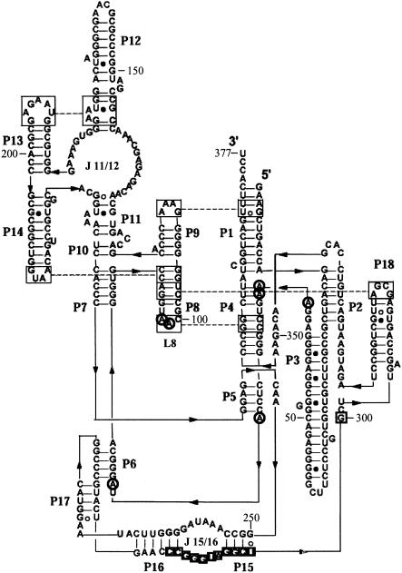 FIGURE 1. 