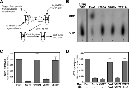 Figure 4.