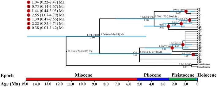 Figure 2