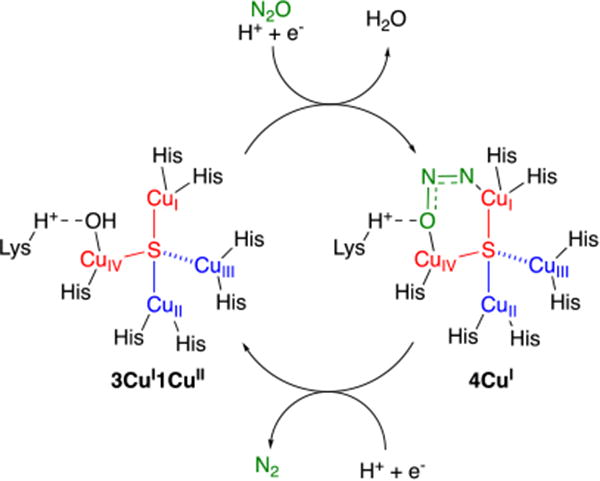 Scheme 1