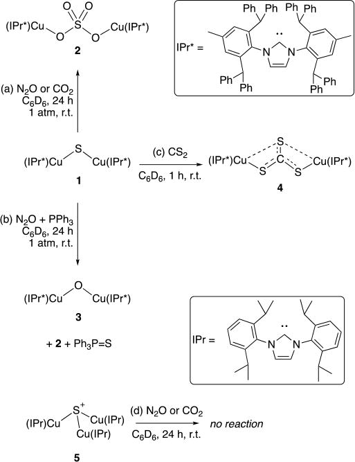 Scheme 2