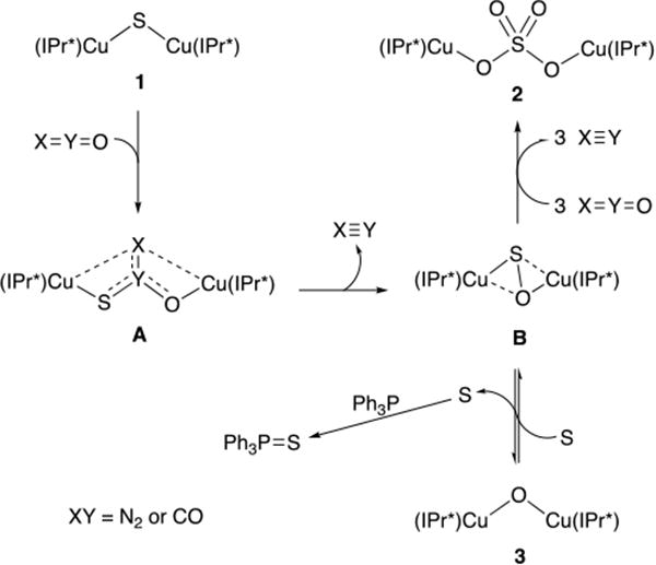 Scheme 3