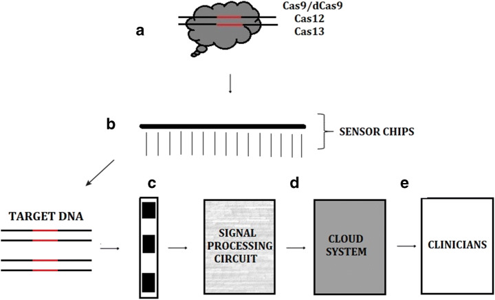 Fig. 5