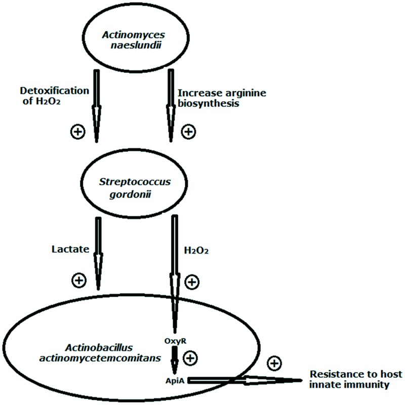 FIGURE 2