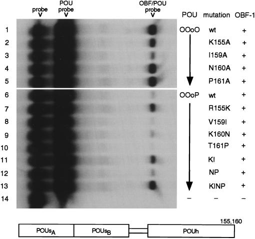 FIG. 5
