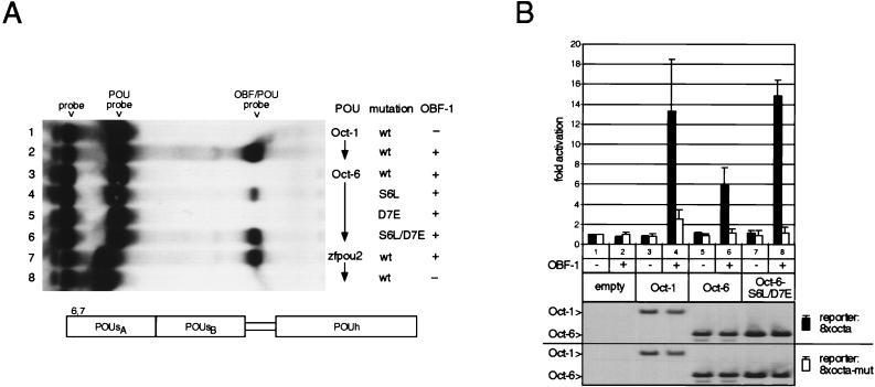FIG. 6