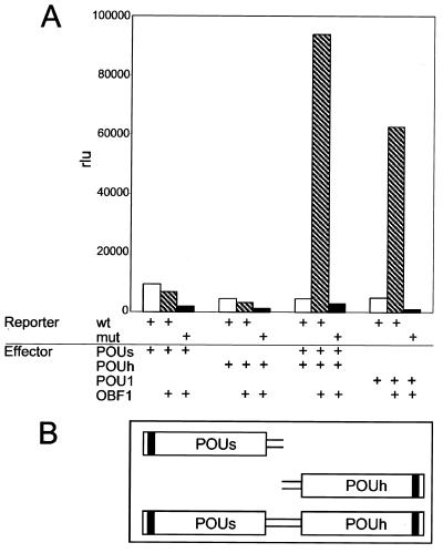 FIG. 8