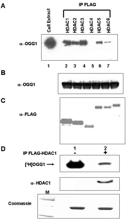 FIG. 9.