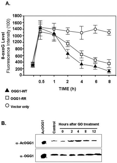 FIG. 8.