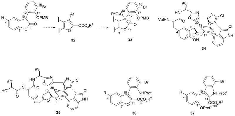 Scheme 5