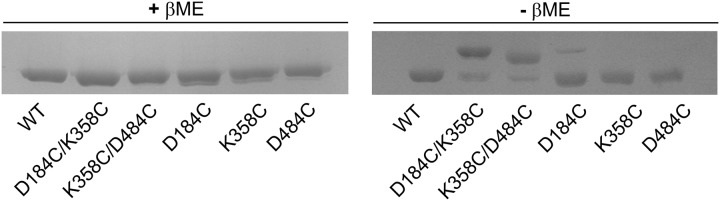 FIGURE 12.