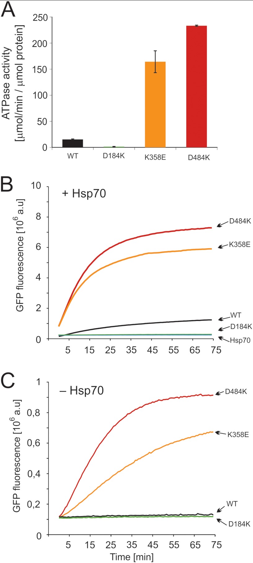 FIGURE 4.