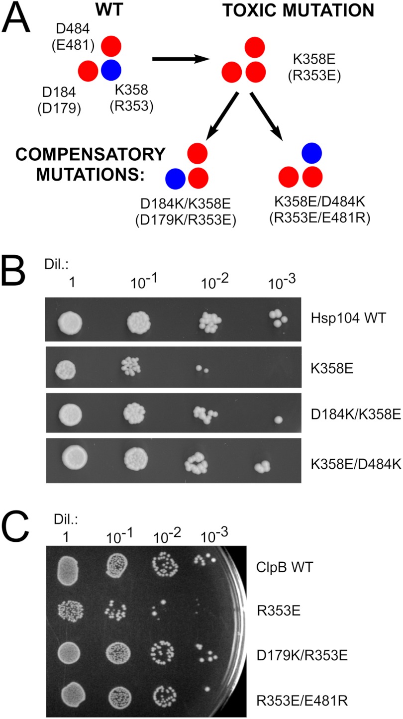 FIGURE 10.