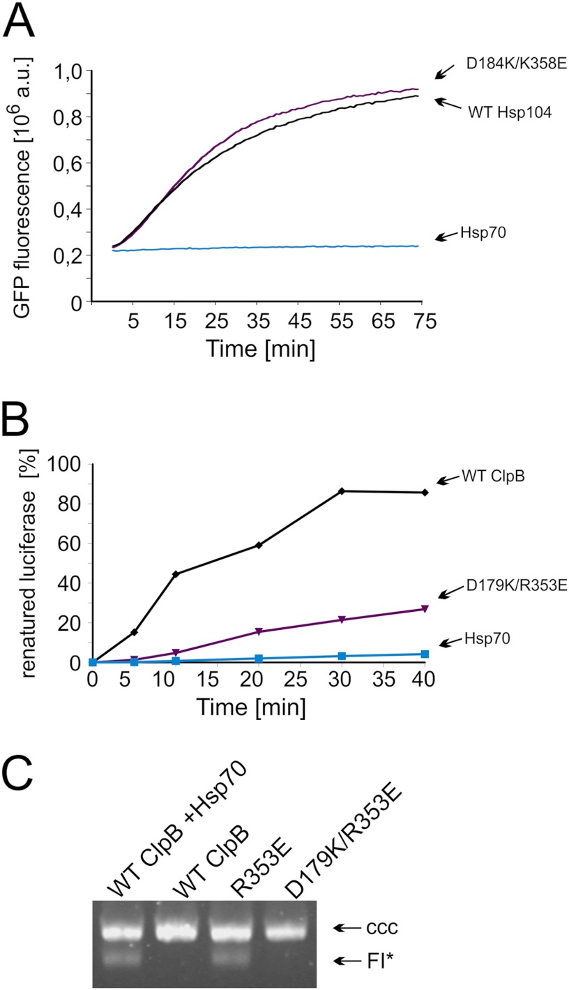 FIGURE 11.