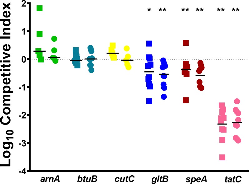 Fig 5