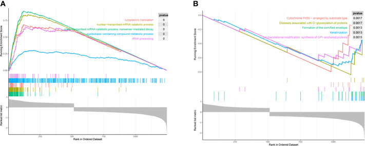 Figure 6