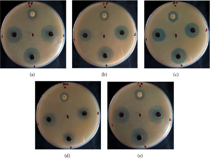 Figure 5