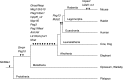 F<sc>IG</sc>. 6.—