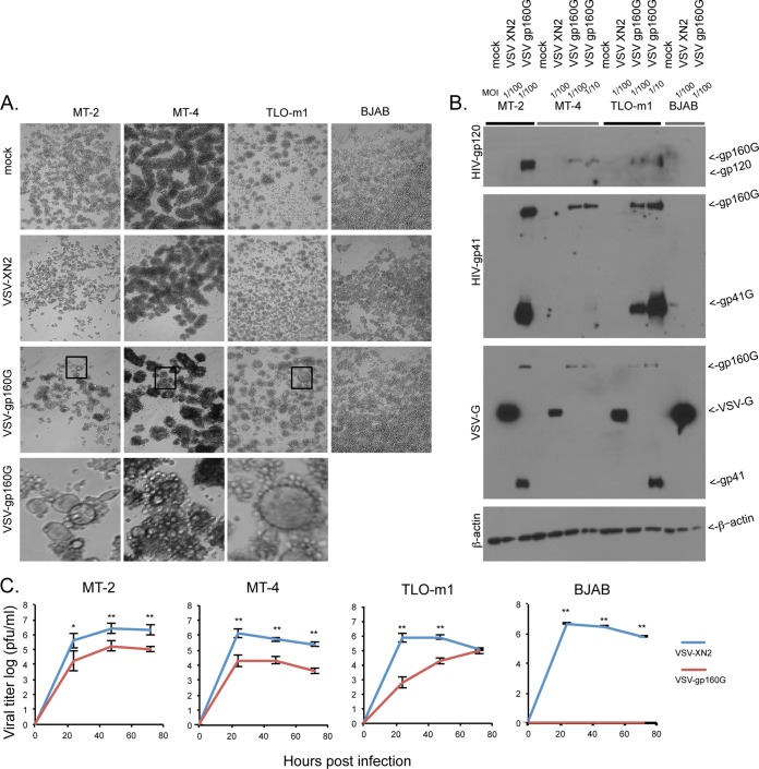 FIG 3