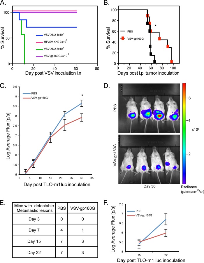 FIG 6